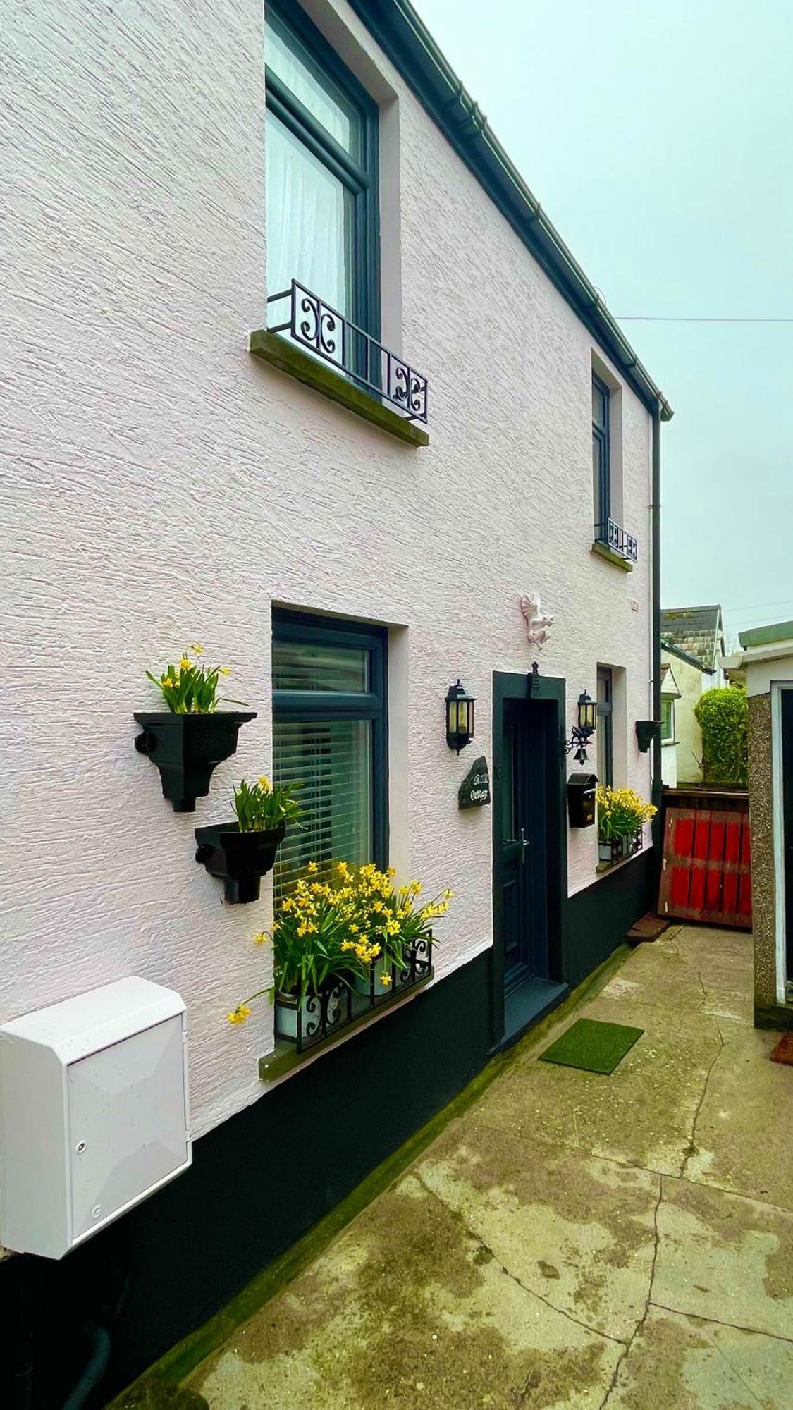 Beautiful Mumbles/Gower Cottage Swansea Exterior foto